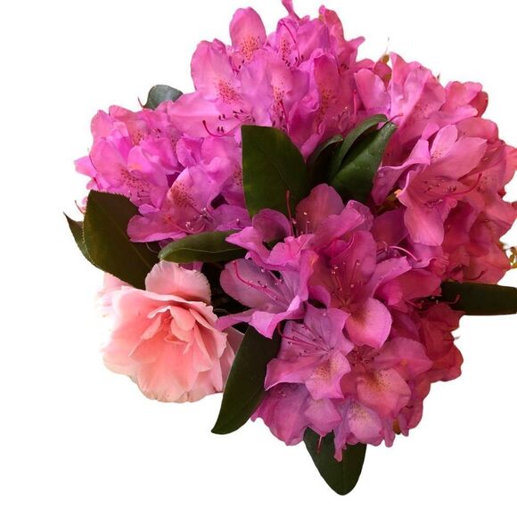 ONLY Short Sleeve Blouse NWT - Picture 8 of 8